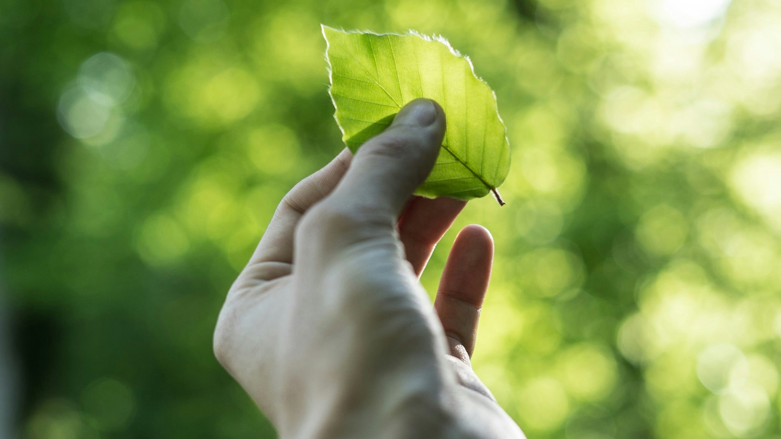 Germany sustainability